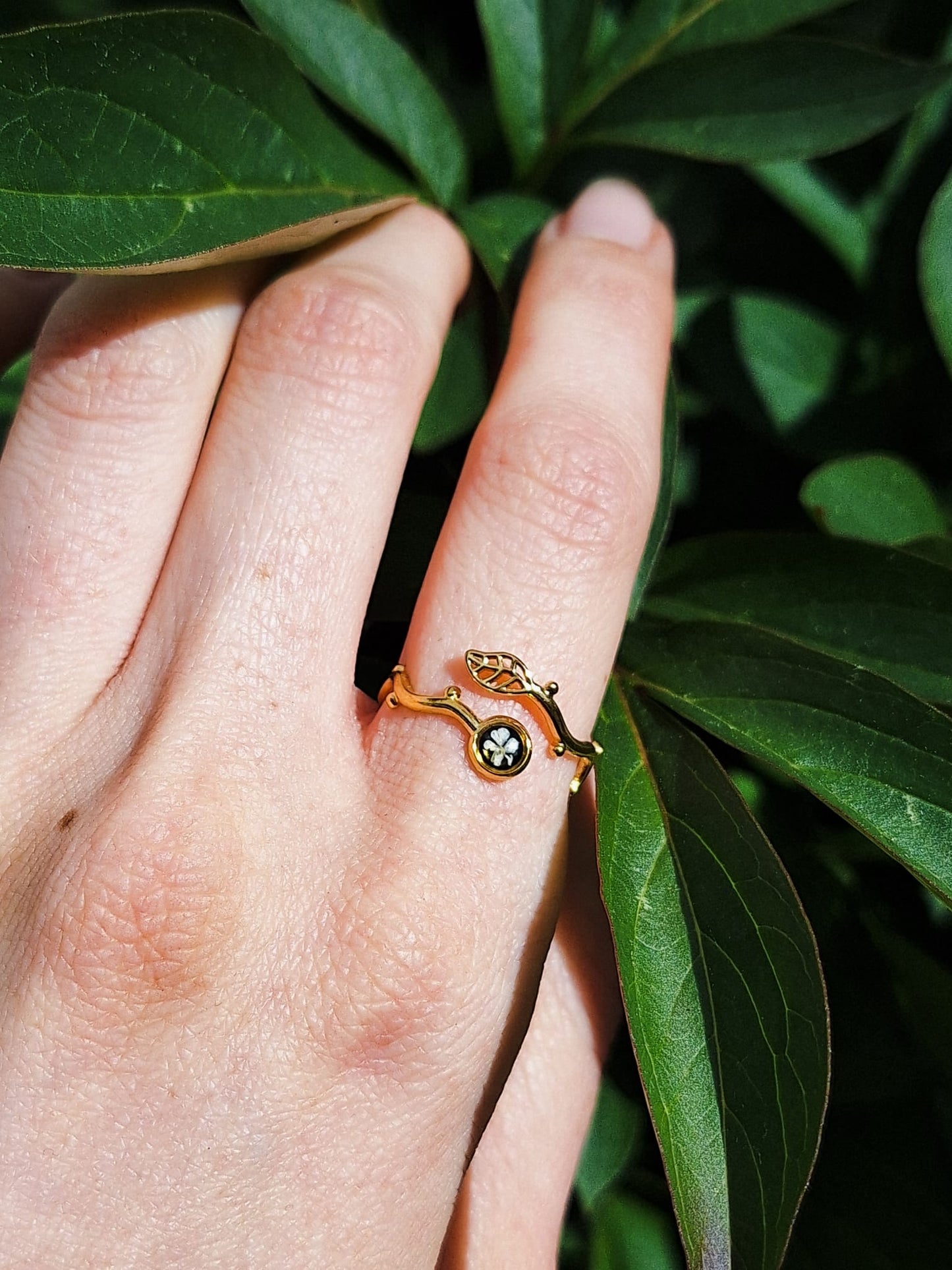 Ring mit Wilder Möhre