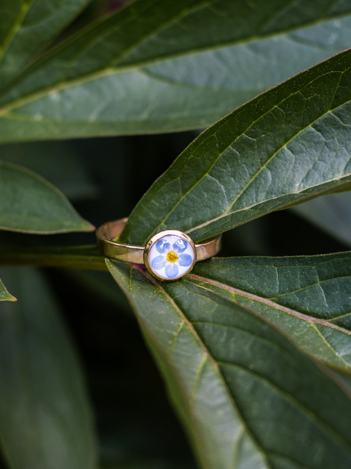 Ring mit Vergissmeinnicht