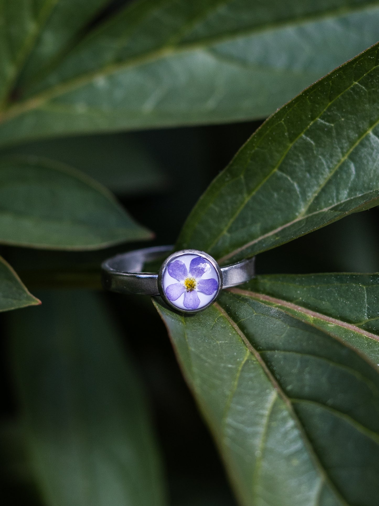 Ring mit Vergissmeinnicht