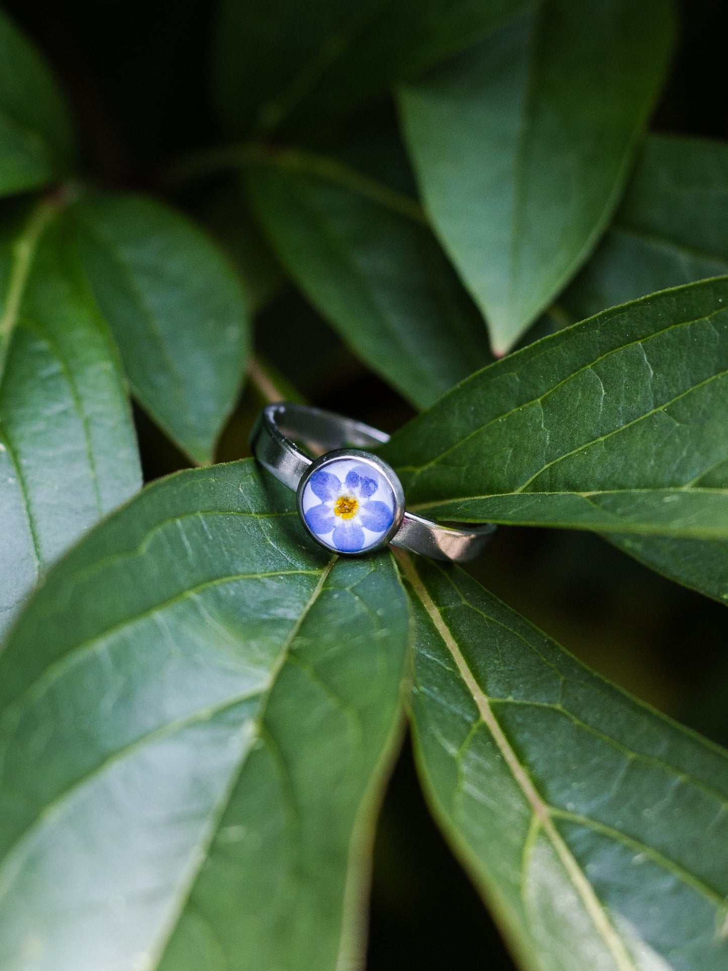 Ring mit Vergissmeinnicht