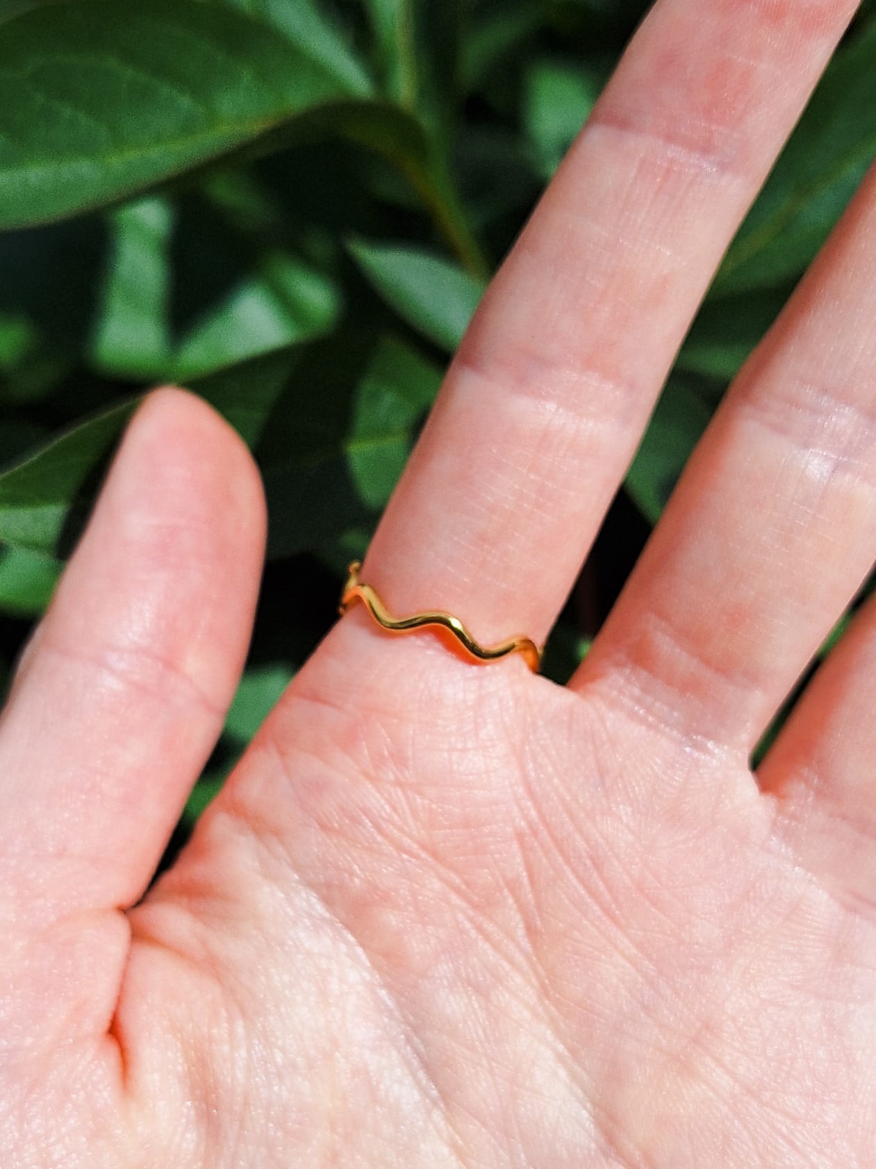 Ring mit Wilder Möhre