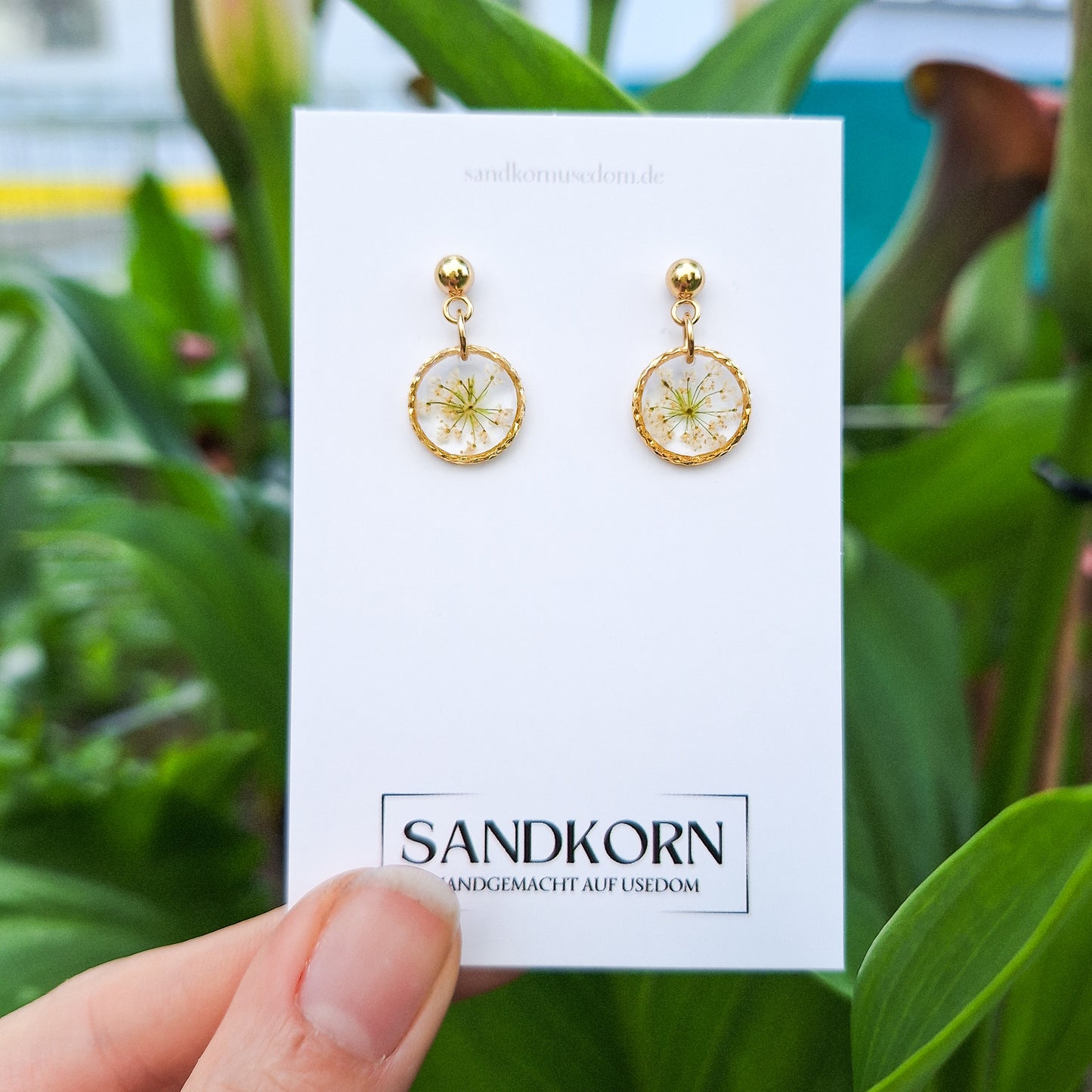 Ohrringe mit Wilder Möhre - SANDKORN Usedom