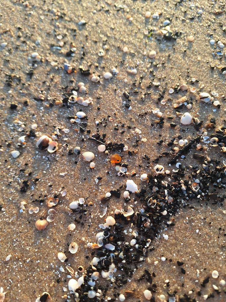 Natürlicher Bernstein an der Ostsee auf Usedom