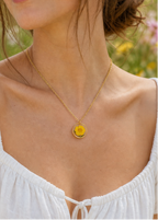 Dezente Halskette mit echten Blüten | Naturschmuck mit echten Pflanzen | Halskette mit Butterblume | PVD Vergoldung | Usedom Schmuck