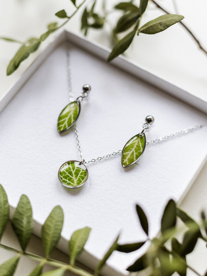 Schmuckset mit Fittonia