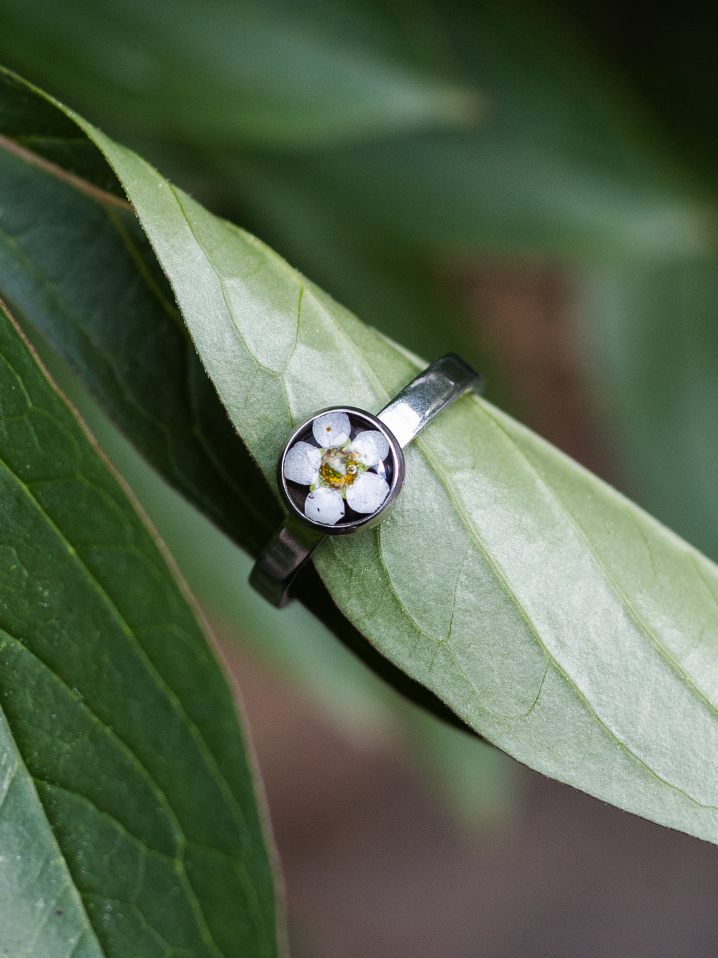 Ring mit Spiere