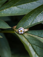 Ring mit Spiere