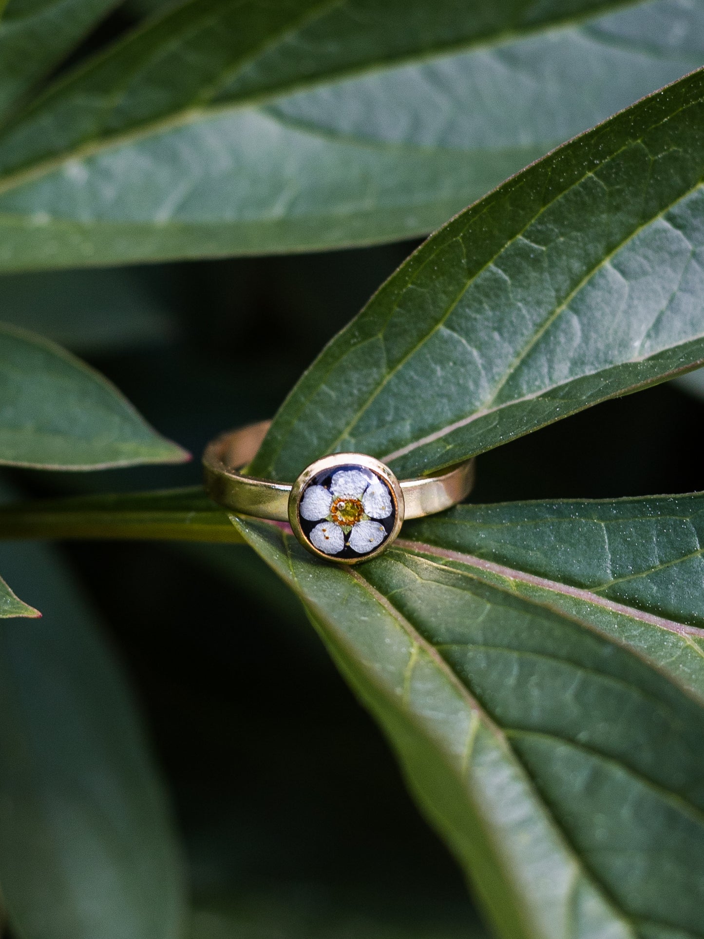 Ring mit Spiere