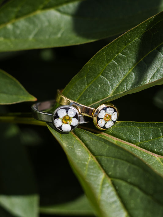 Ring mit Spiere