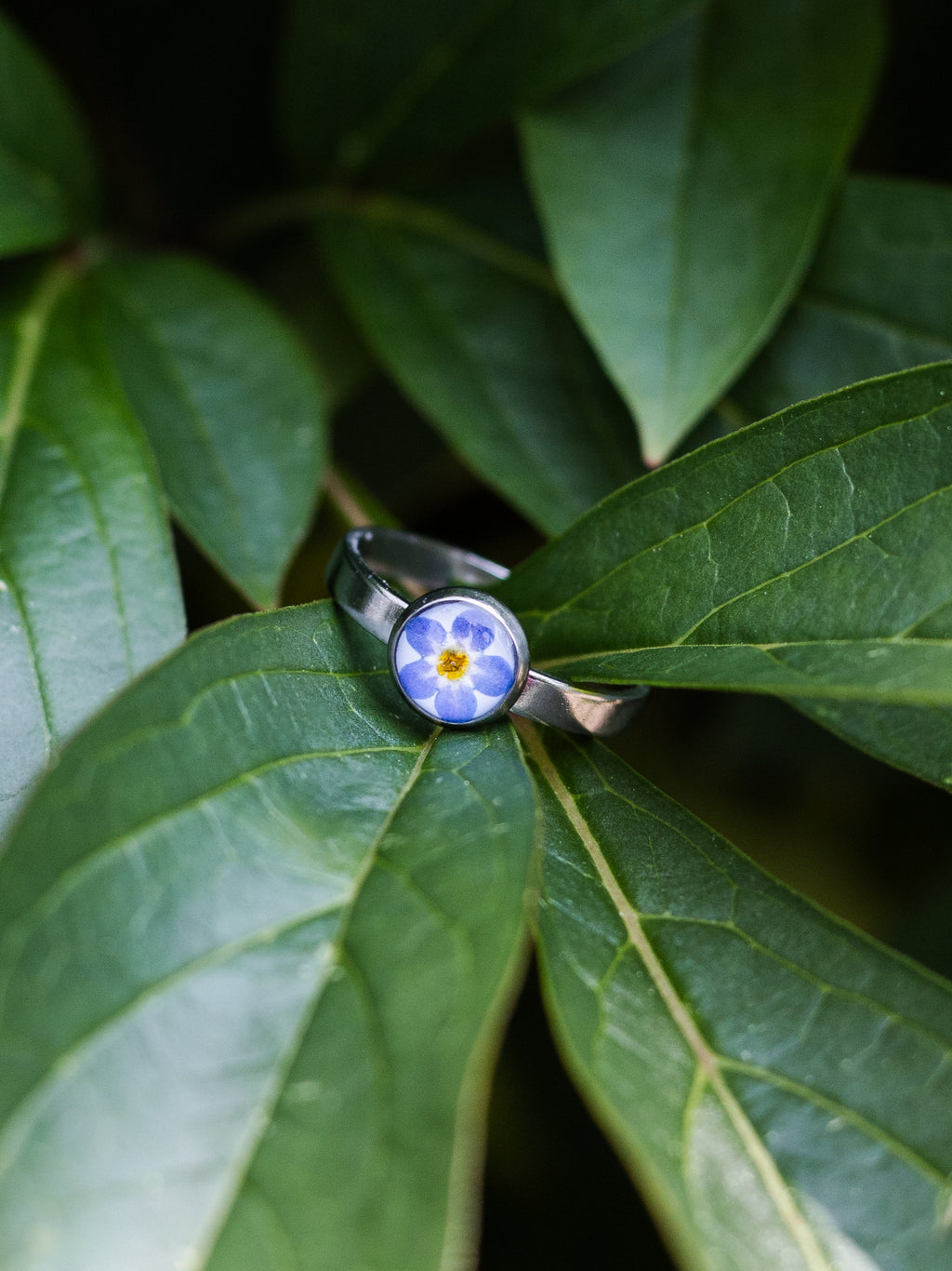Ring mit Vergissmeinnicht