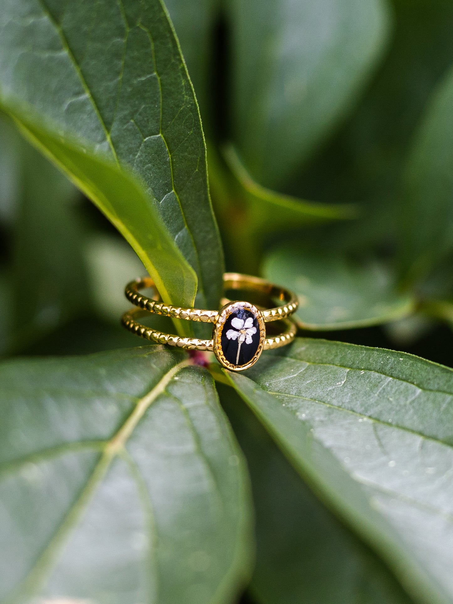 Ring mit Wilder Möhre