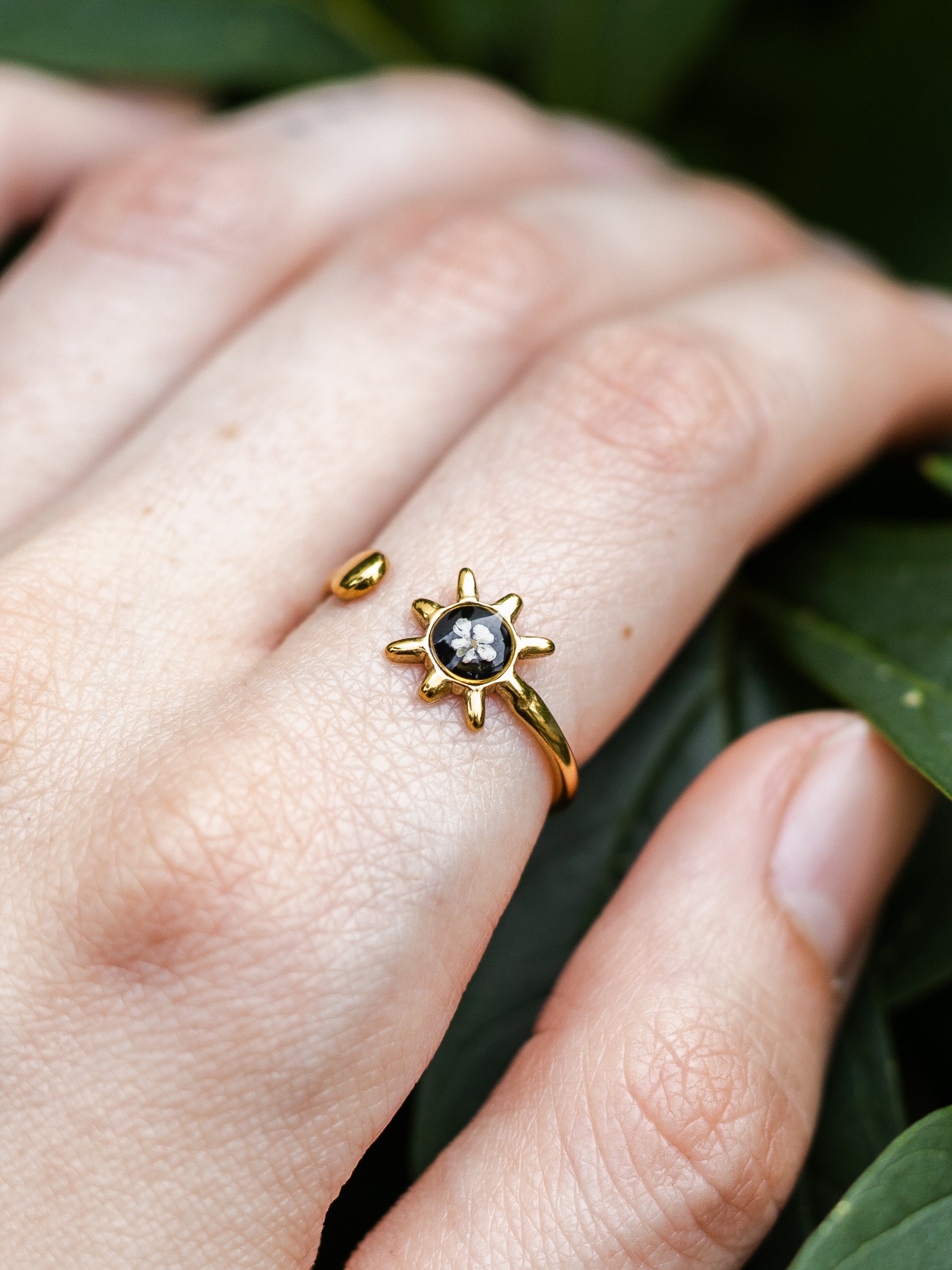 Ring mit Sonne und Wilder Möhre
