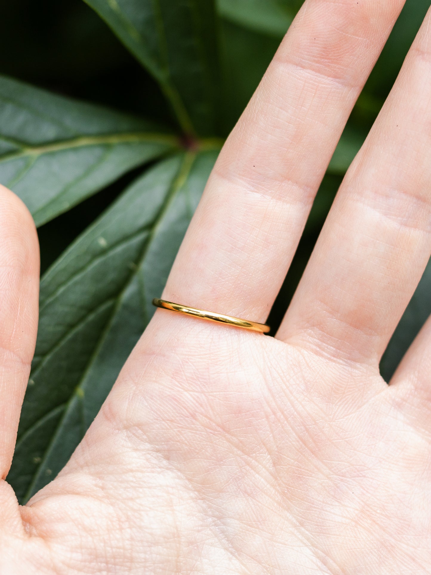 Ring mit Wilder Möhre