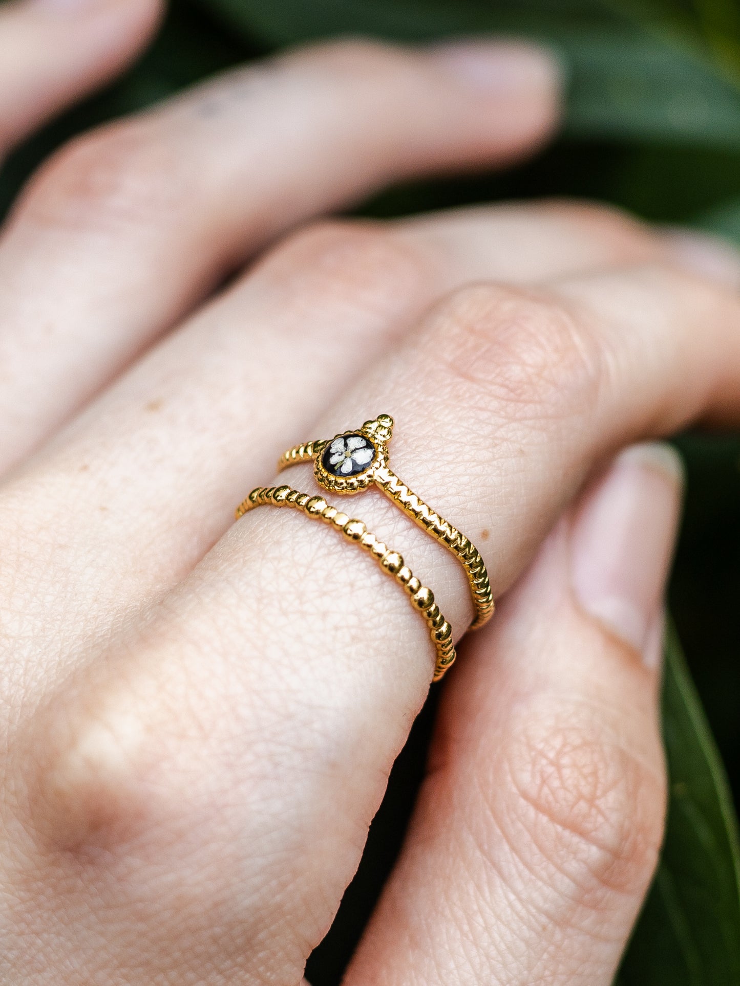 Ring mit Wilder Möhre