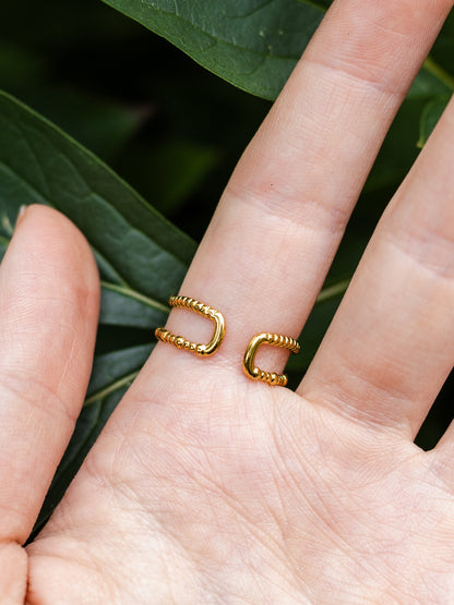 Ring mit Wilder Möhre