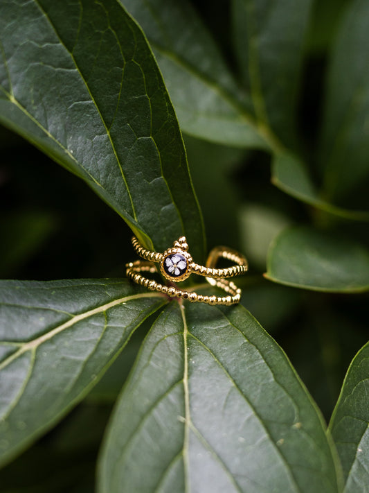 Ring mit Wilder Möhre