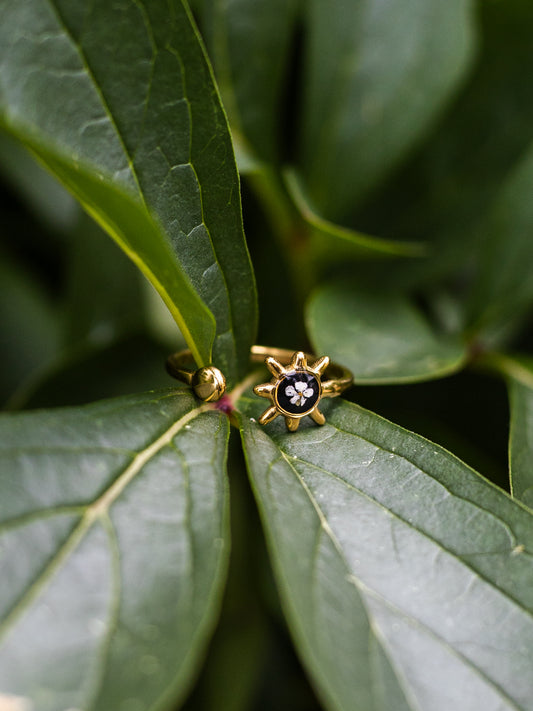 Ring mit Wilder Möhre