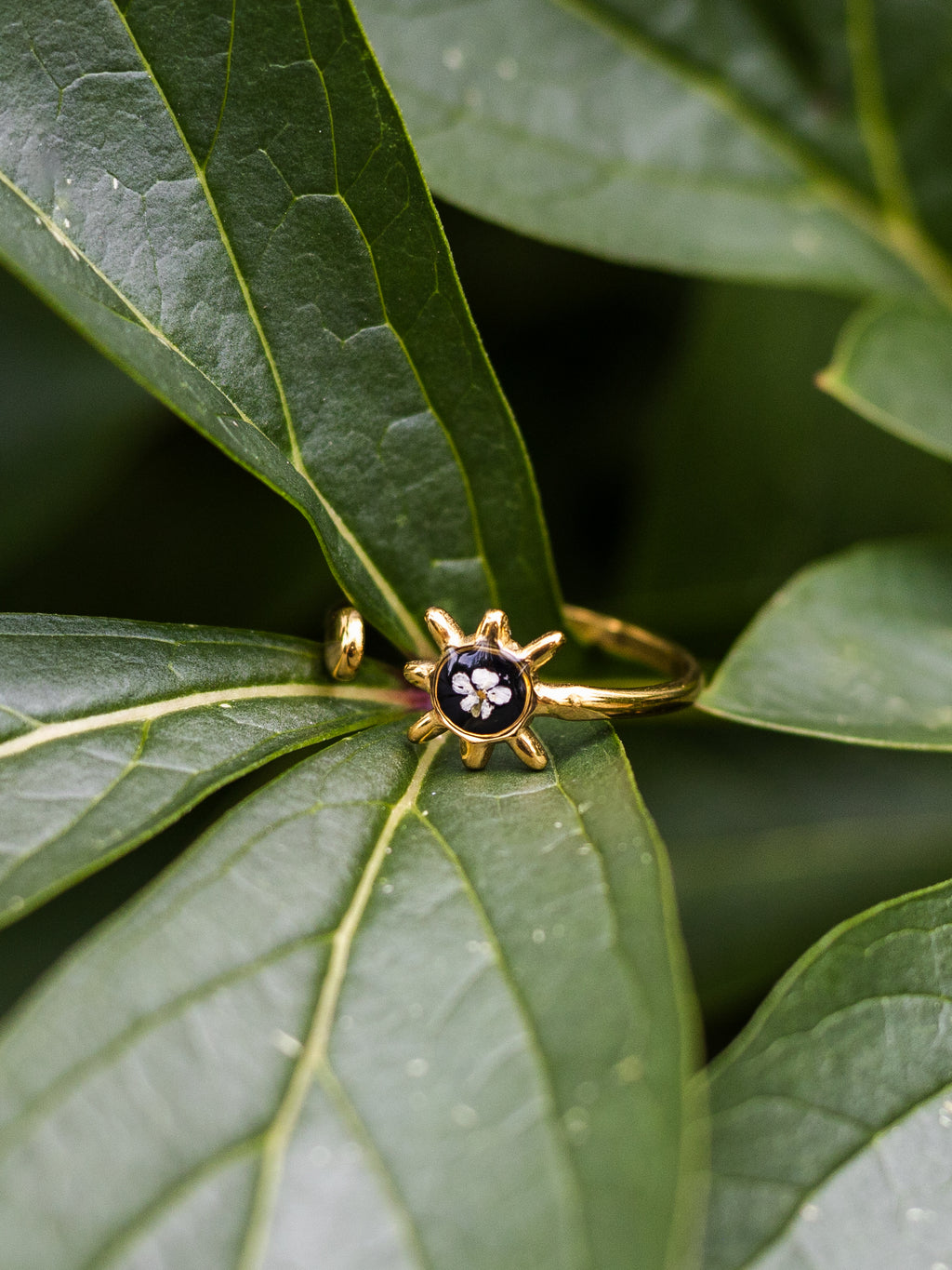 Ring mit Sonne und Wilder Möhre