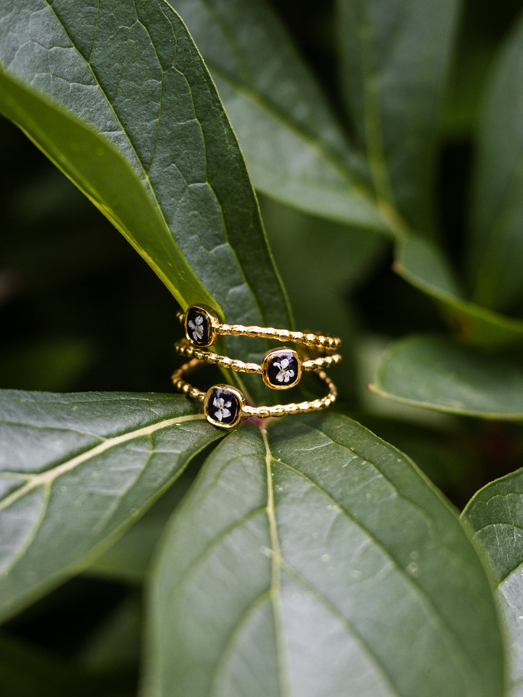 Ring mit Wilder Möhre