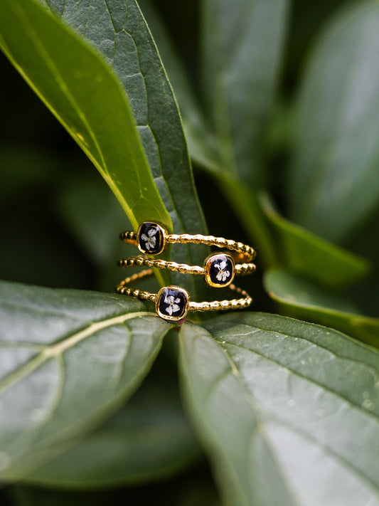 Ring mit Wilder Möhre