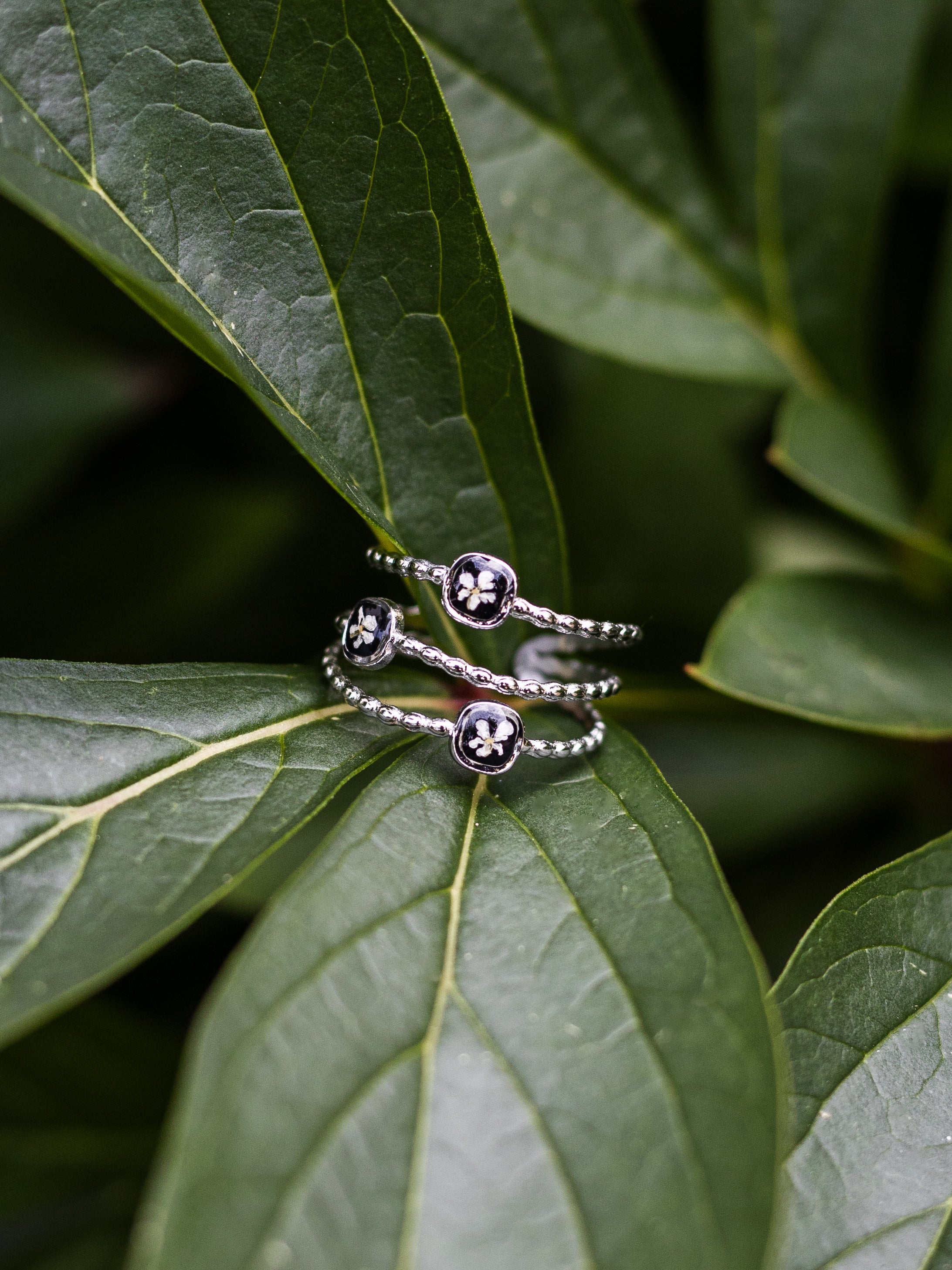 Ring mit Wilder Möhre