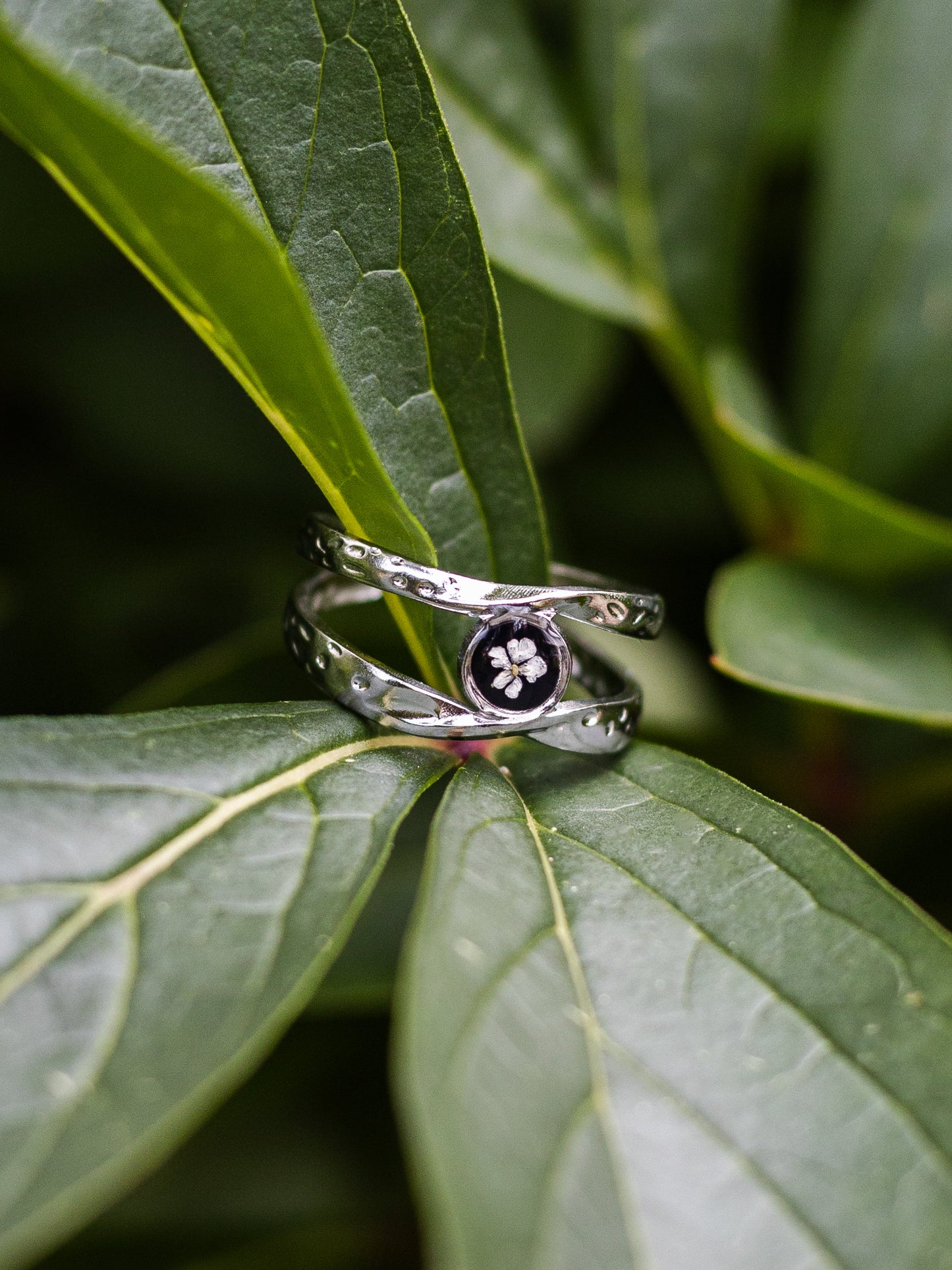 Ring mit Wilder Möhre