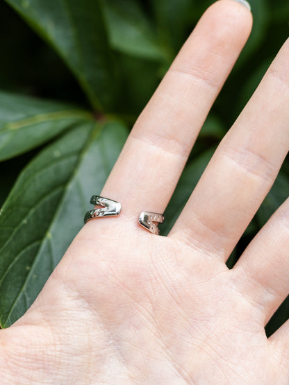 Ring mit Wilder Möhre