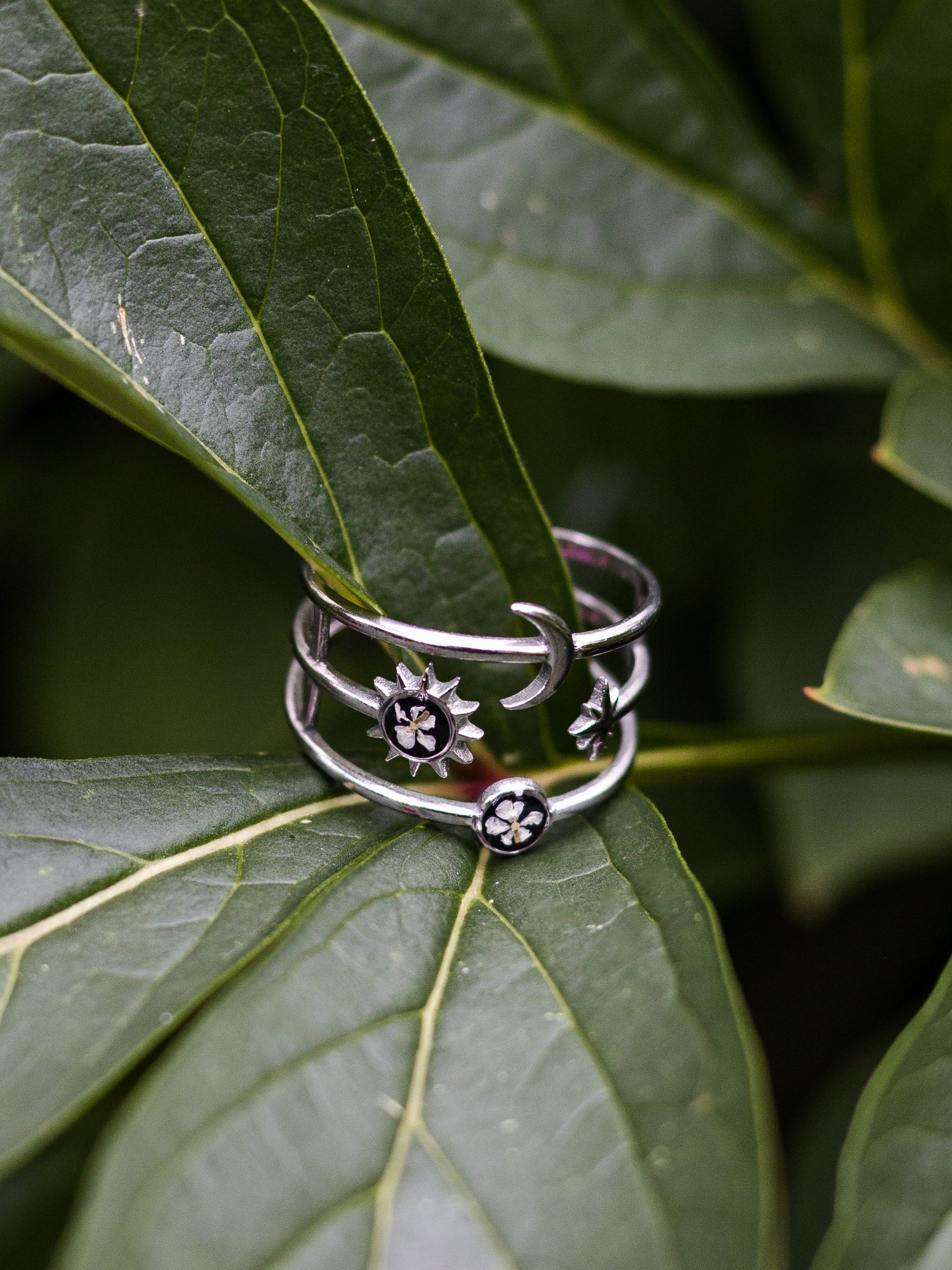 Ring mit Wilder Möhre - Silber