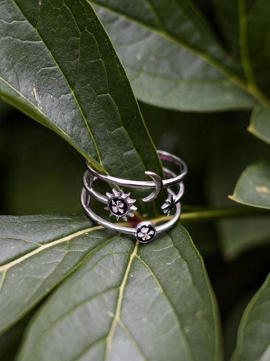 Ring mit Wilder Möhre