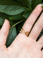 Ring mit Wilder Möhre - Gold