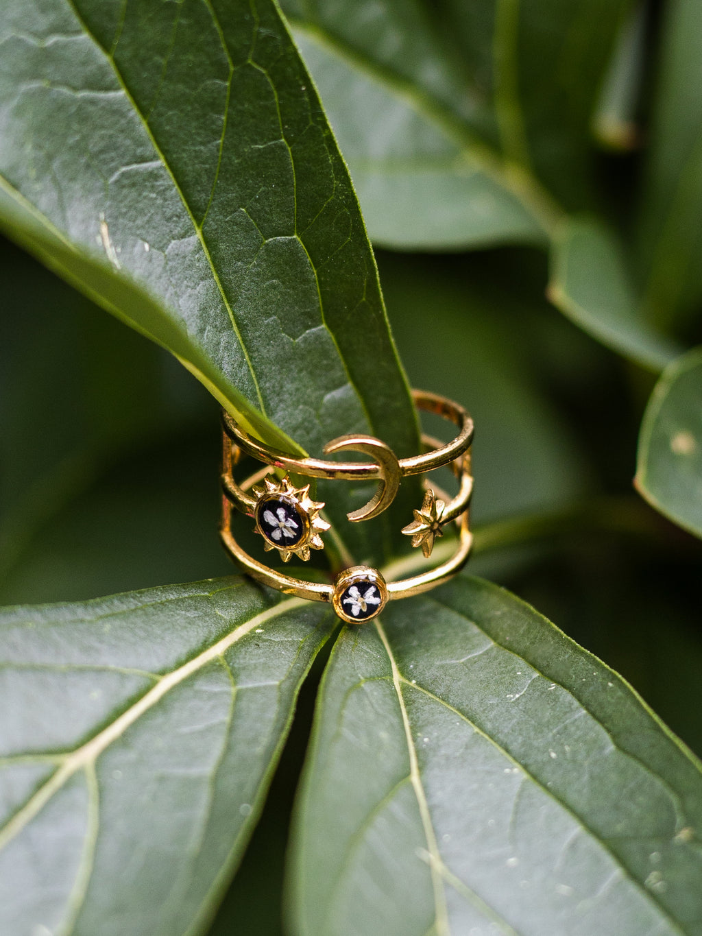 Ring mit Wilder Möhre - Gold
