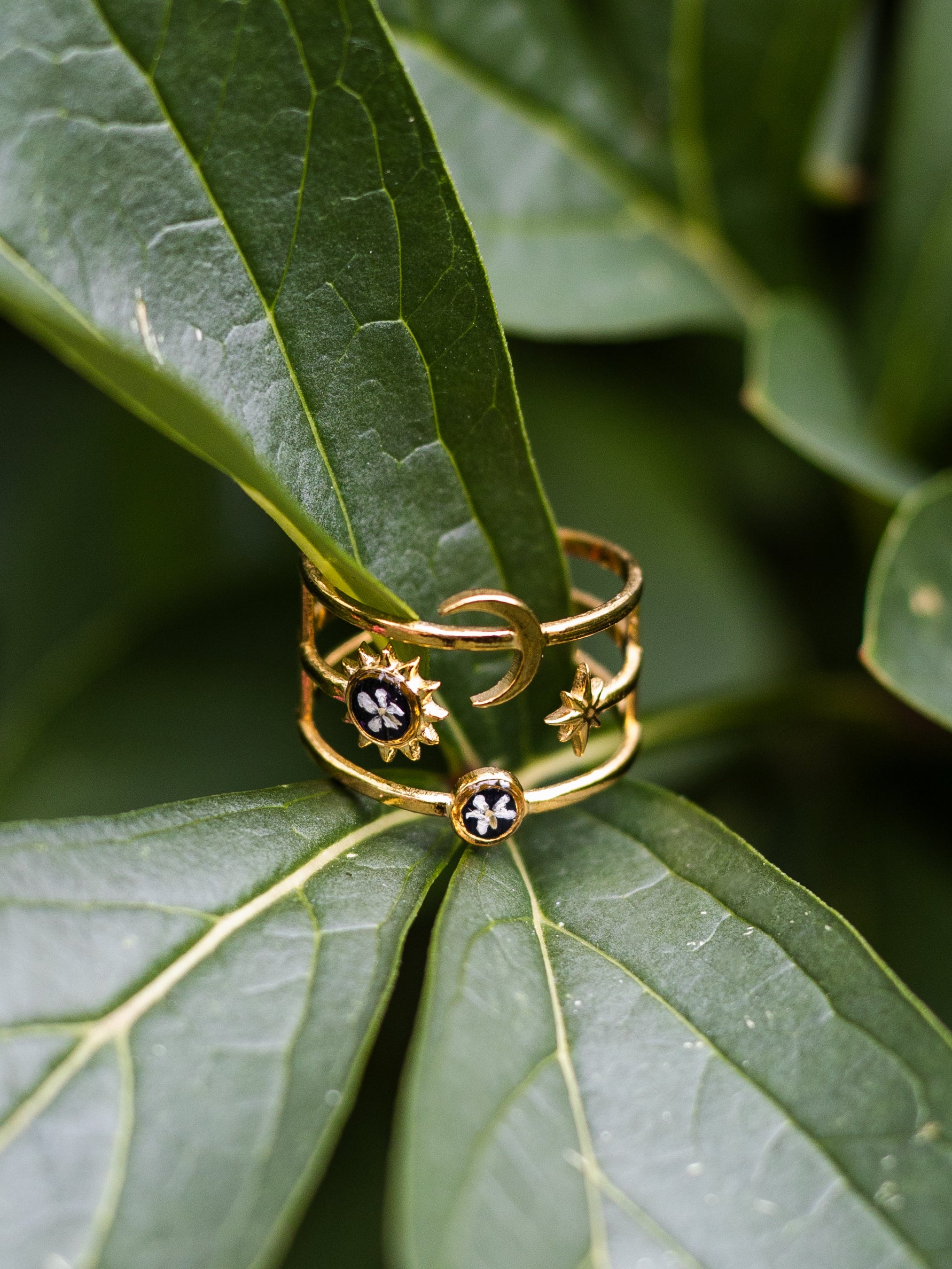 Ring mit Wilder Möhre - Gold