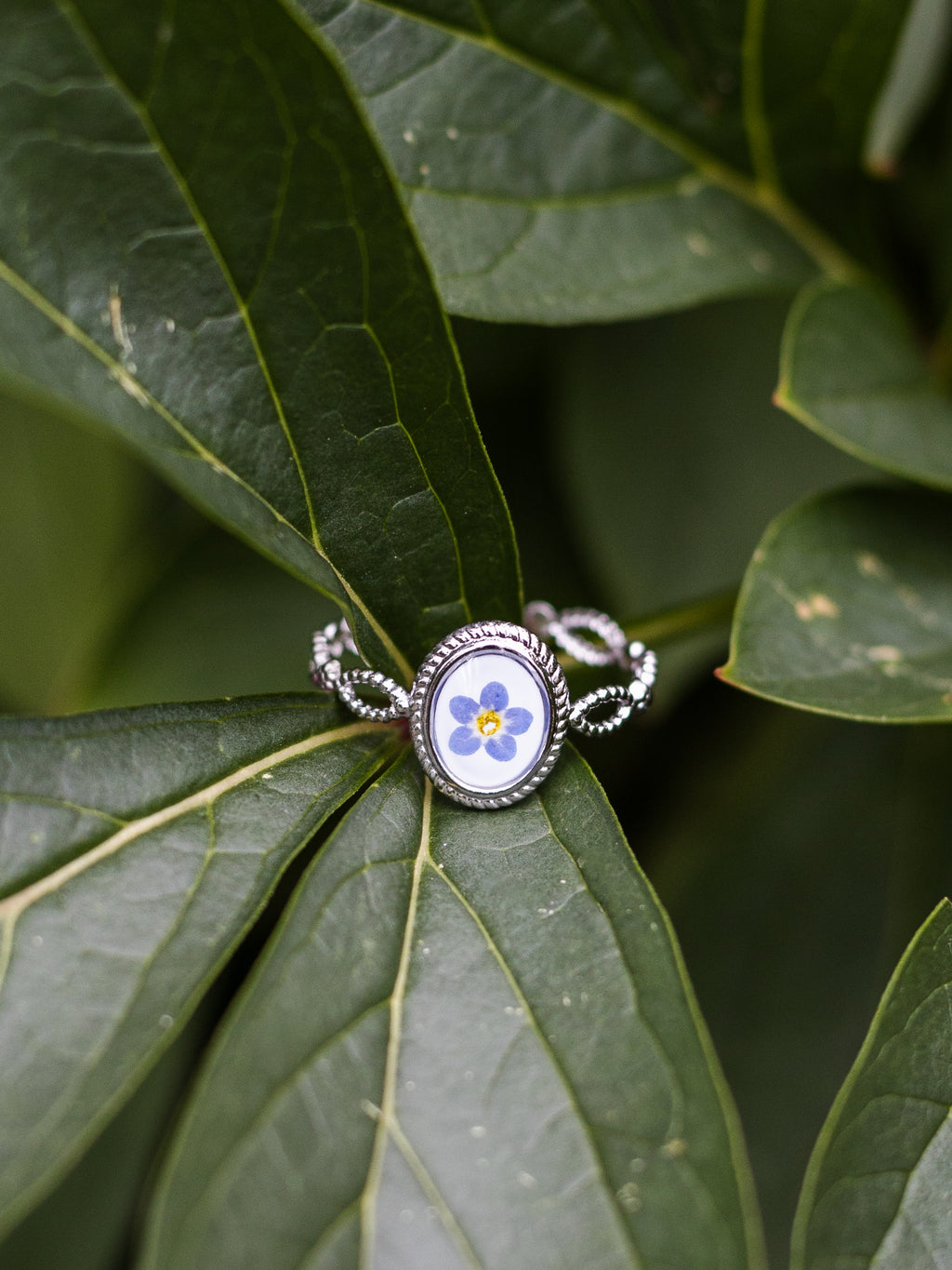 Ring mit Vergissmeinnicht - Silber