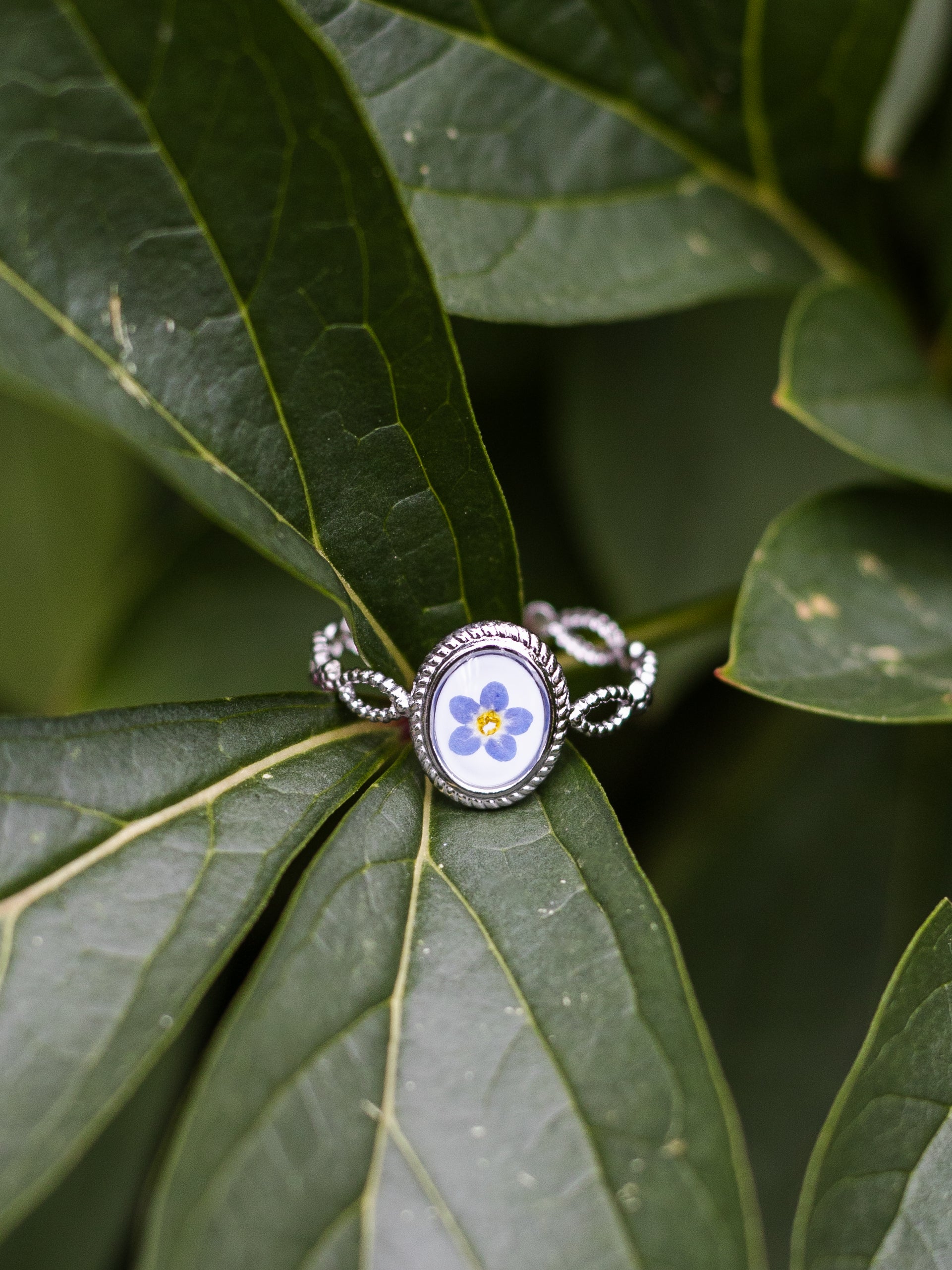 Ring mit Vergissmeinnicht - Silber