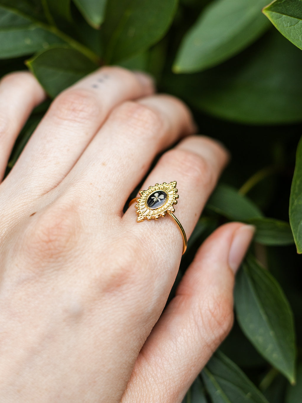 Ring mit Wilder Möhre