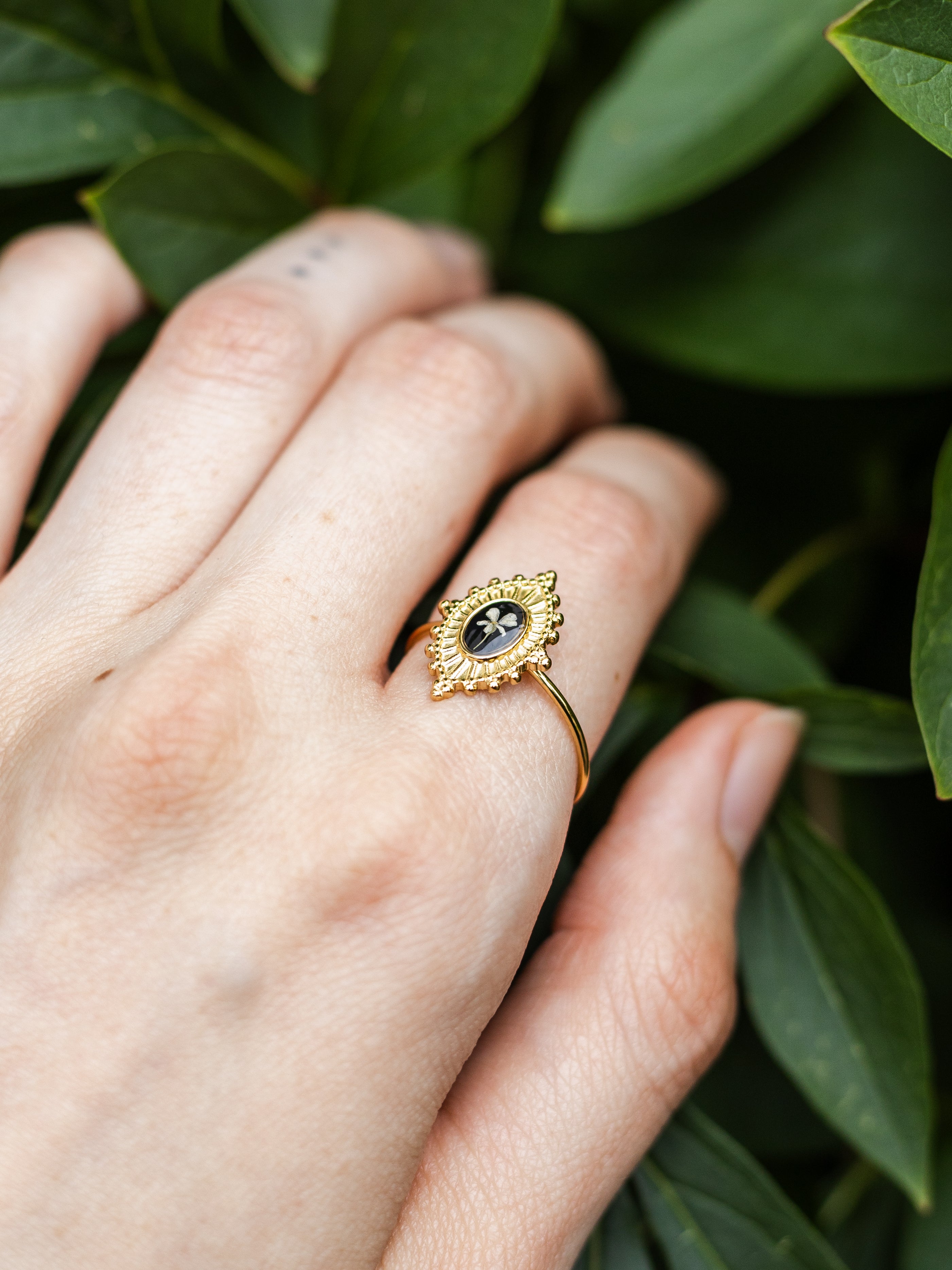 Ring mit Wilder Möhre