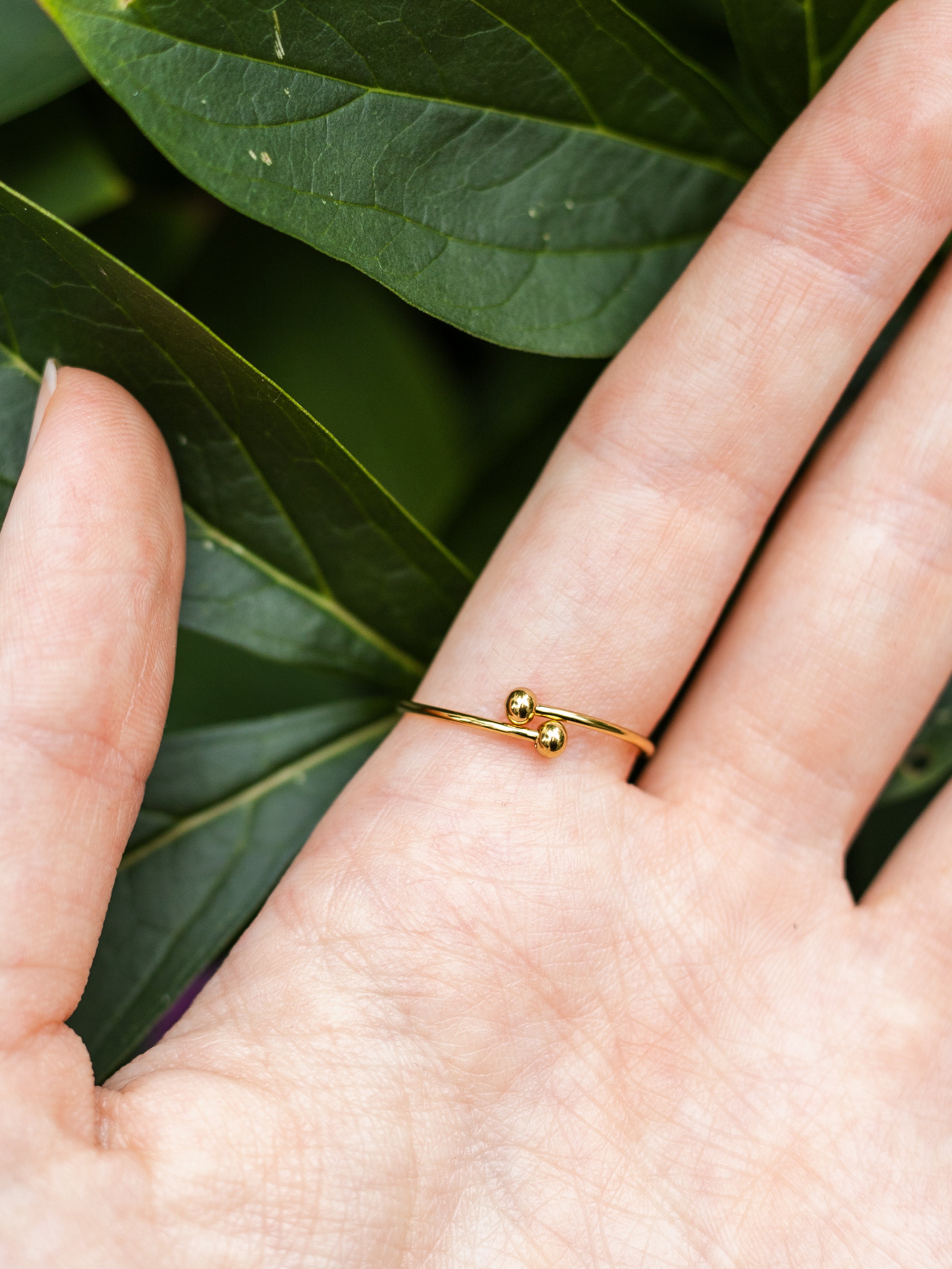 Ring mit Wilder Möhre