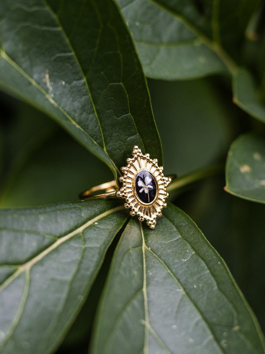 Ring mit Wilder Möhre