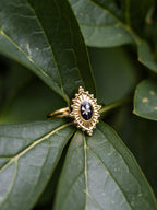 Ring mit Wilder Möhre