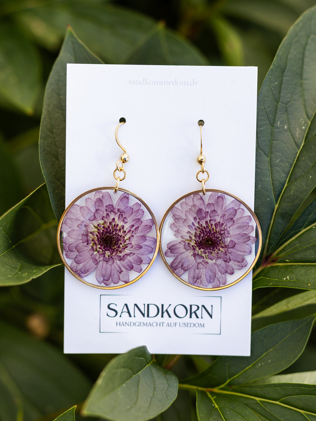 Statement-Ohrringe mit echten Chrysanthemen | Usedom Schmuck | Blumenschmuck | Blumenohrringe | Naturschmuck | Ohrringe mit Blumen