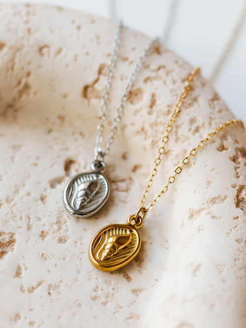 Necklace with shell