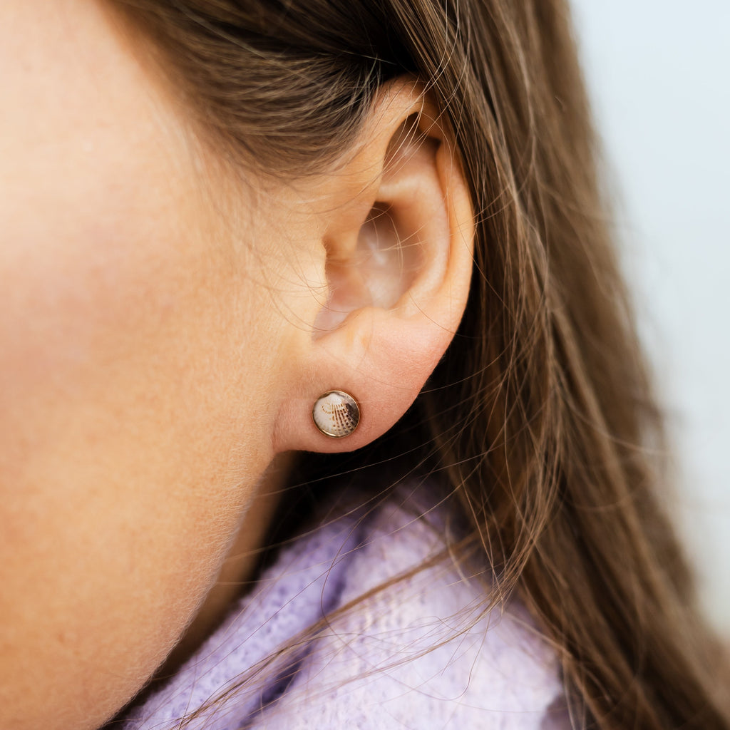 Ohrstecker mit echten Muscheln aus der Ostsee | Usedom Schmuck | Ostsee Schmuck | Ohrringe mit Muscheln | Handgemacht in Heringsdorf