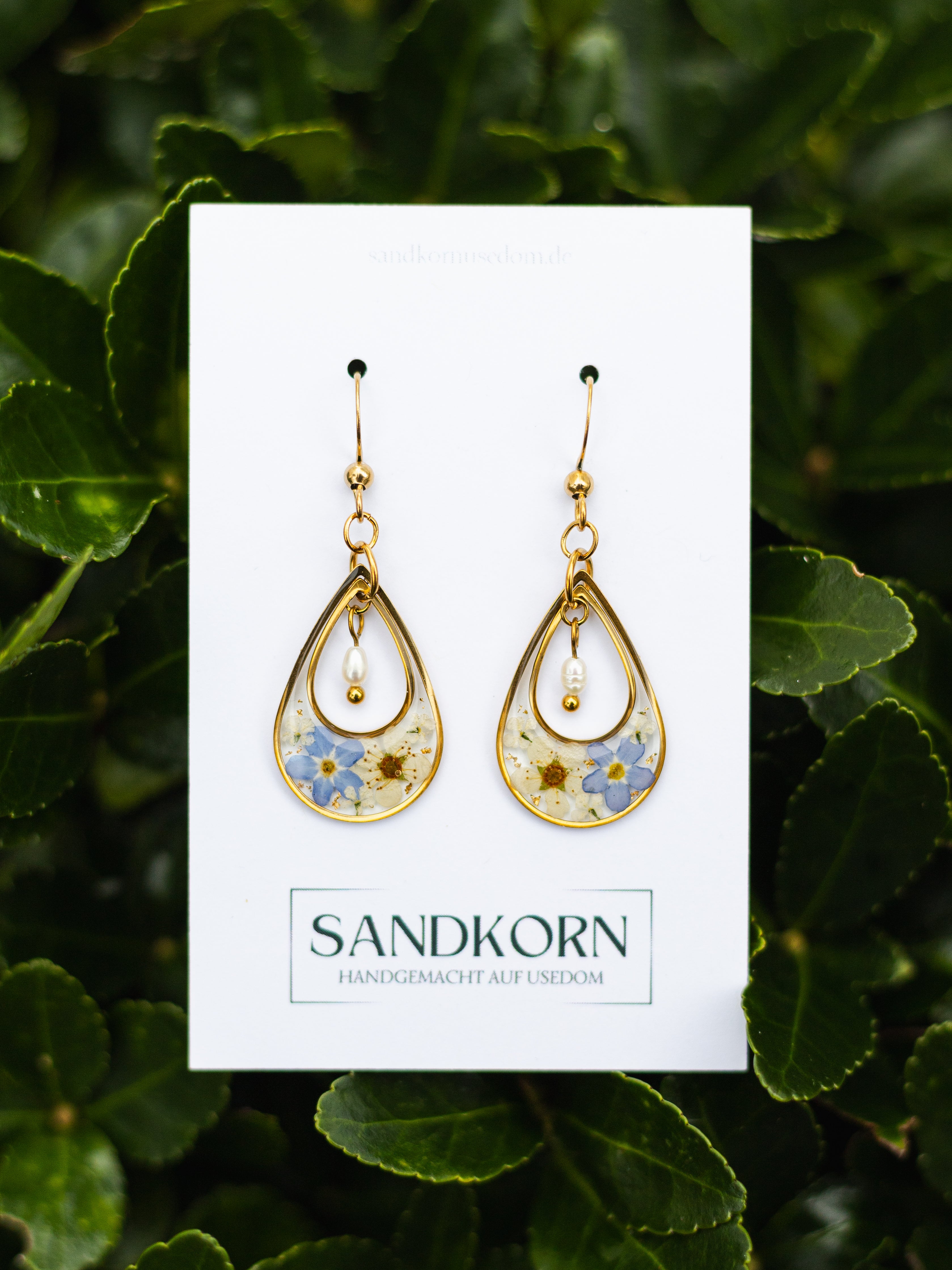 Ohrringe mit echten Vergissmeinnicht und Perlen | Usedom Schmuck | Naturschmuck | Ohrringe mit Blumen