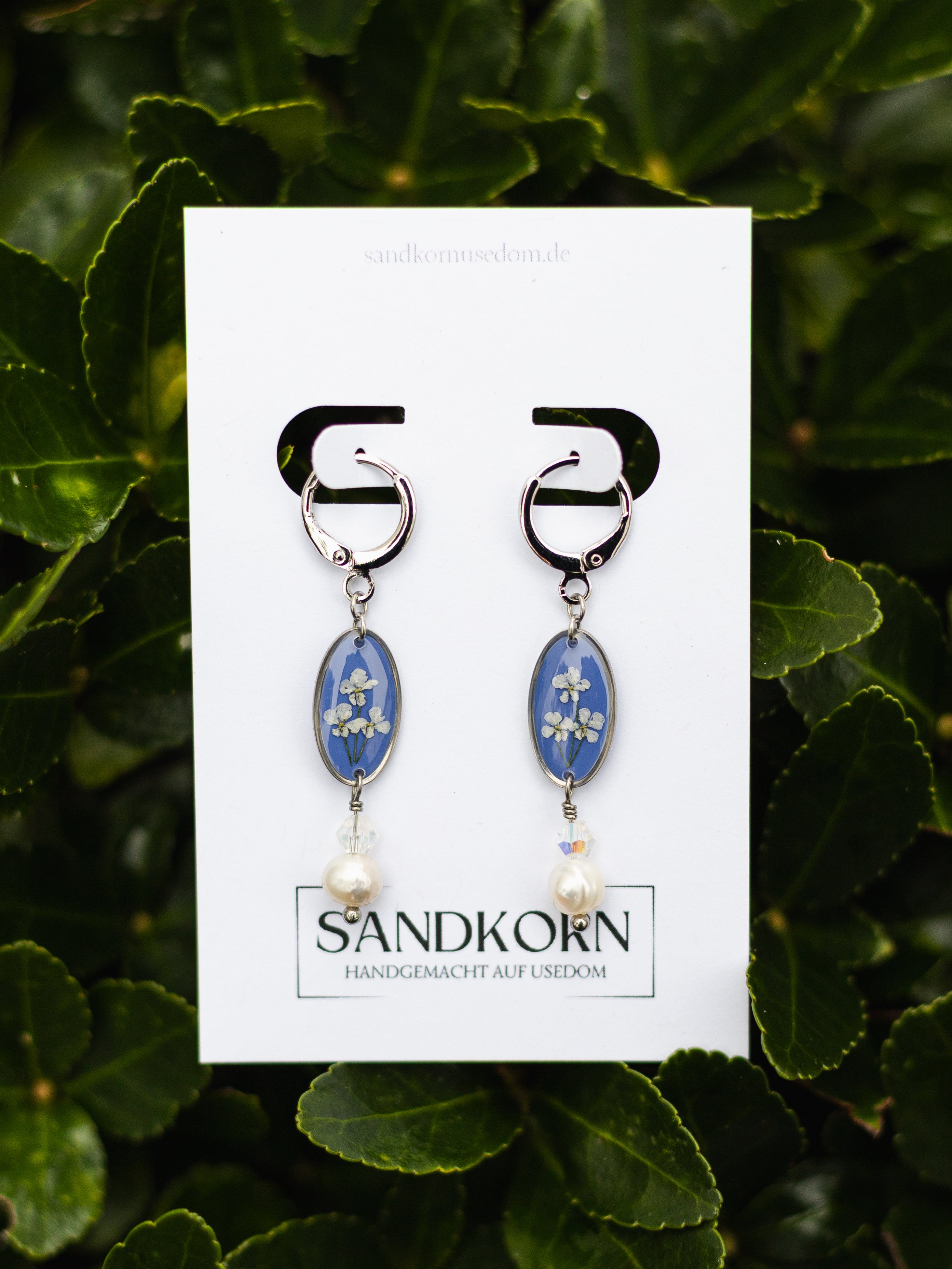 Ohrringe mit Wilder Möhre und Süßwasserperlen