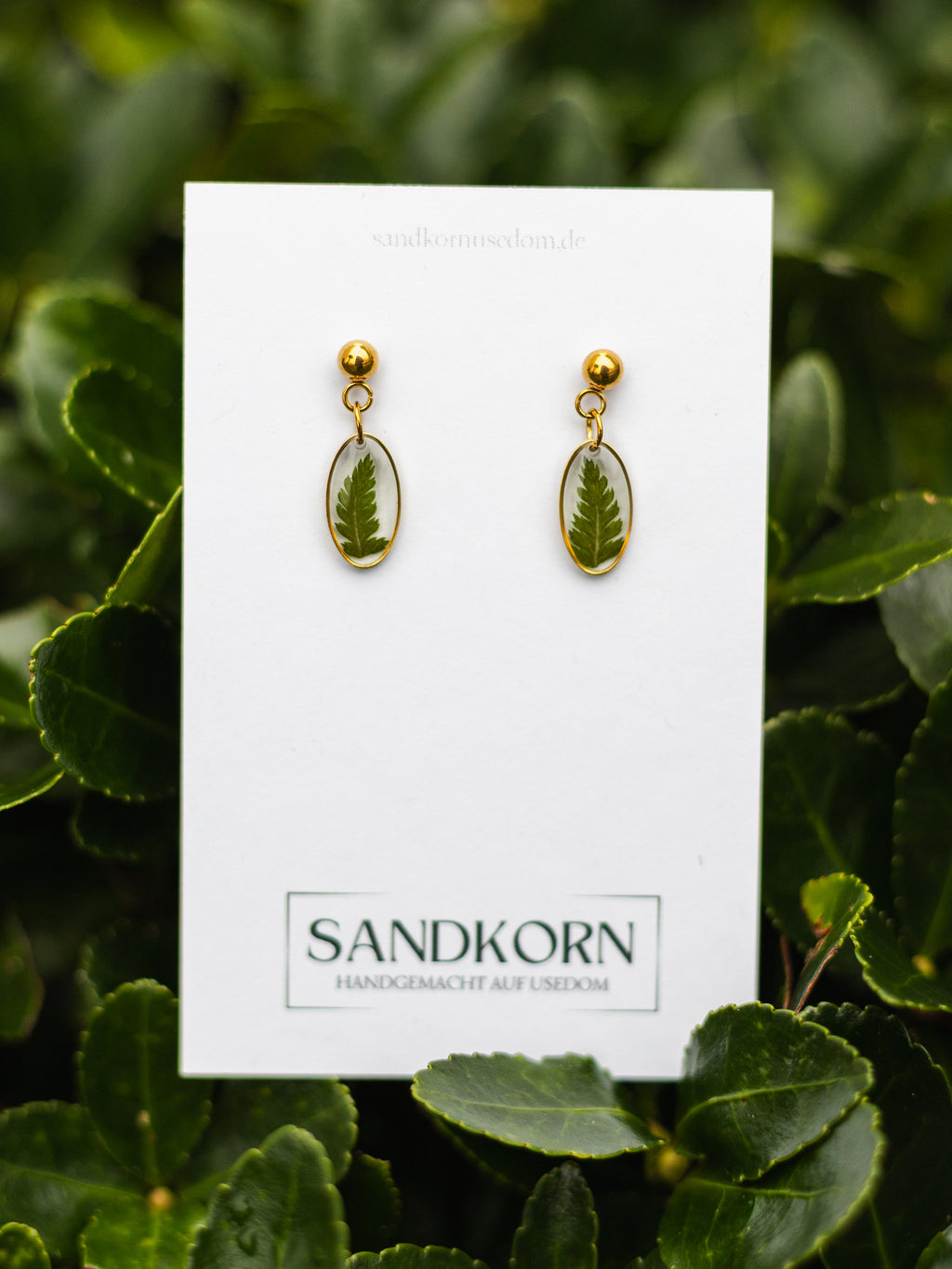 Ohrringe mit Farn