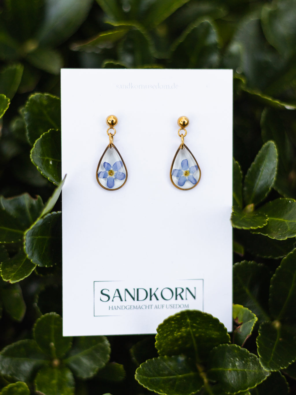 Kolczyki niezapominajki