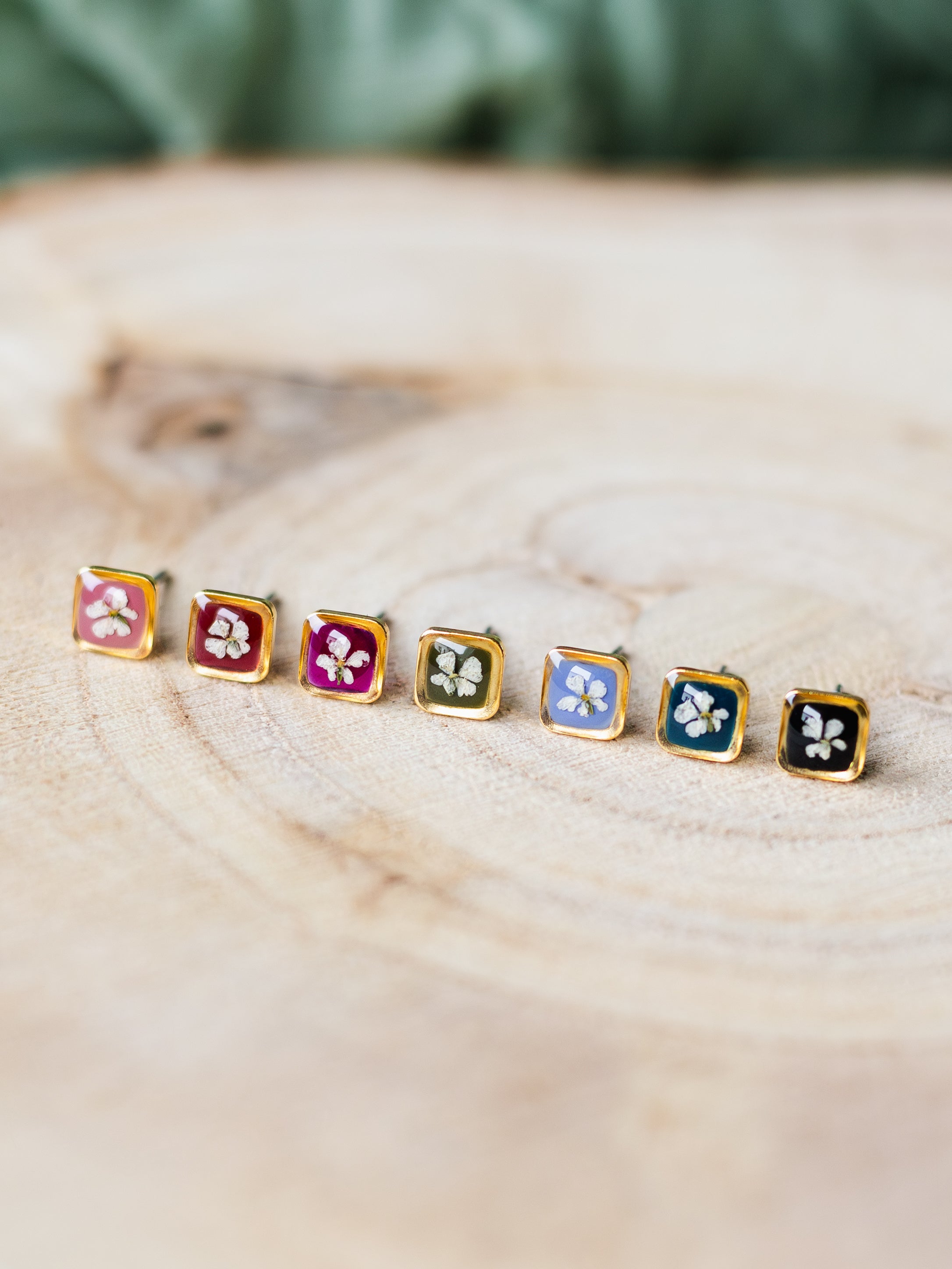 Mini-Ohrstecker mit Wilder Möhre