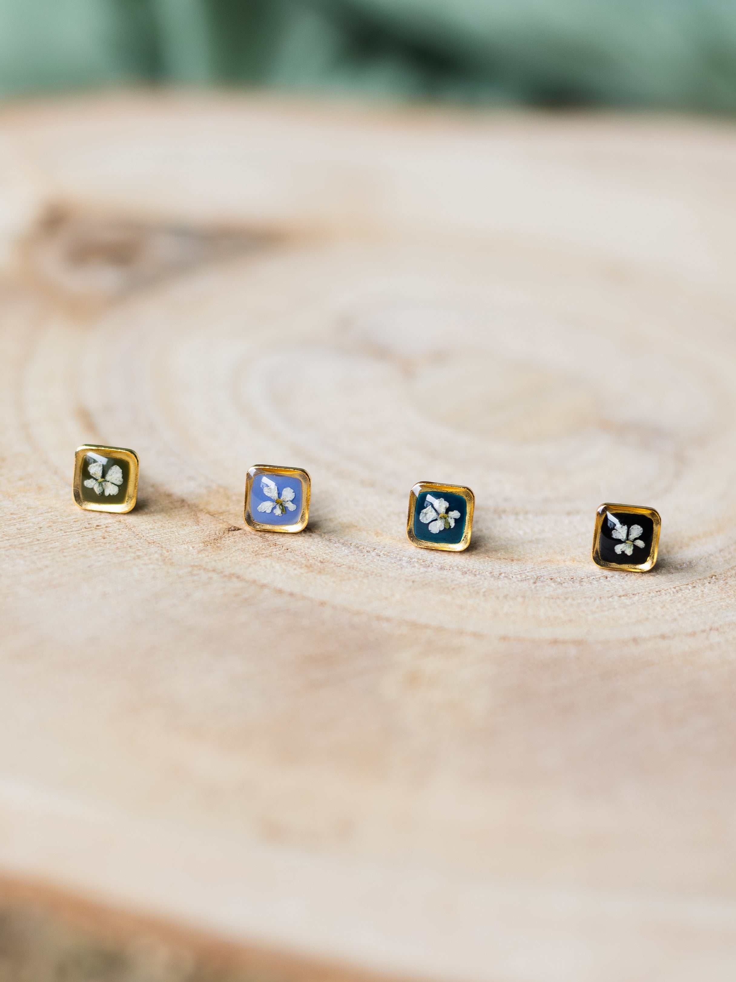 Mini-Ohrstecker mit Wilder Möhre