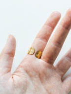 Ring mit Wilder Möhre