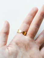 Ring mit Wilder Möhre